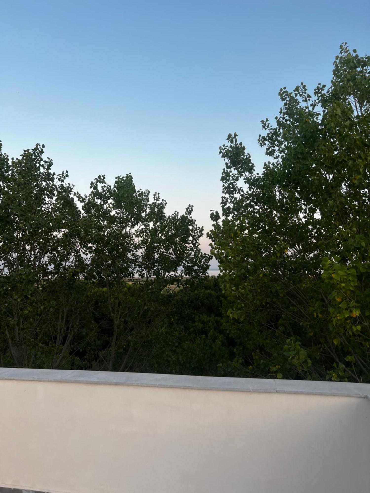 Peja 3*