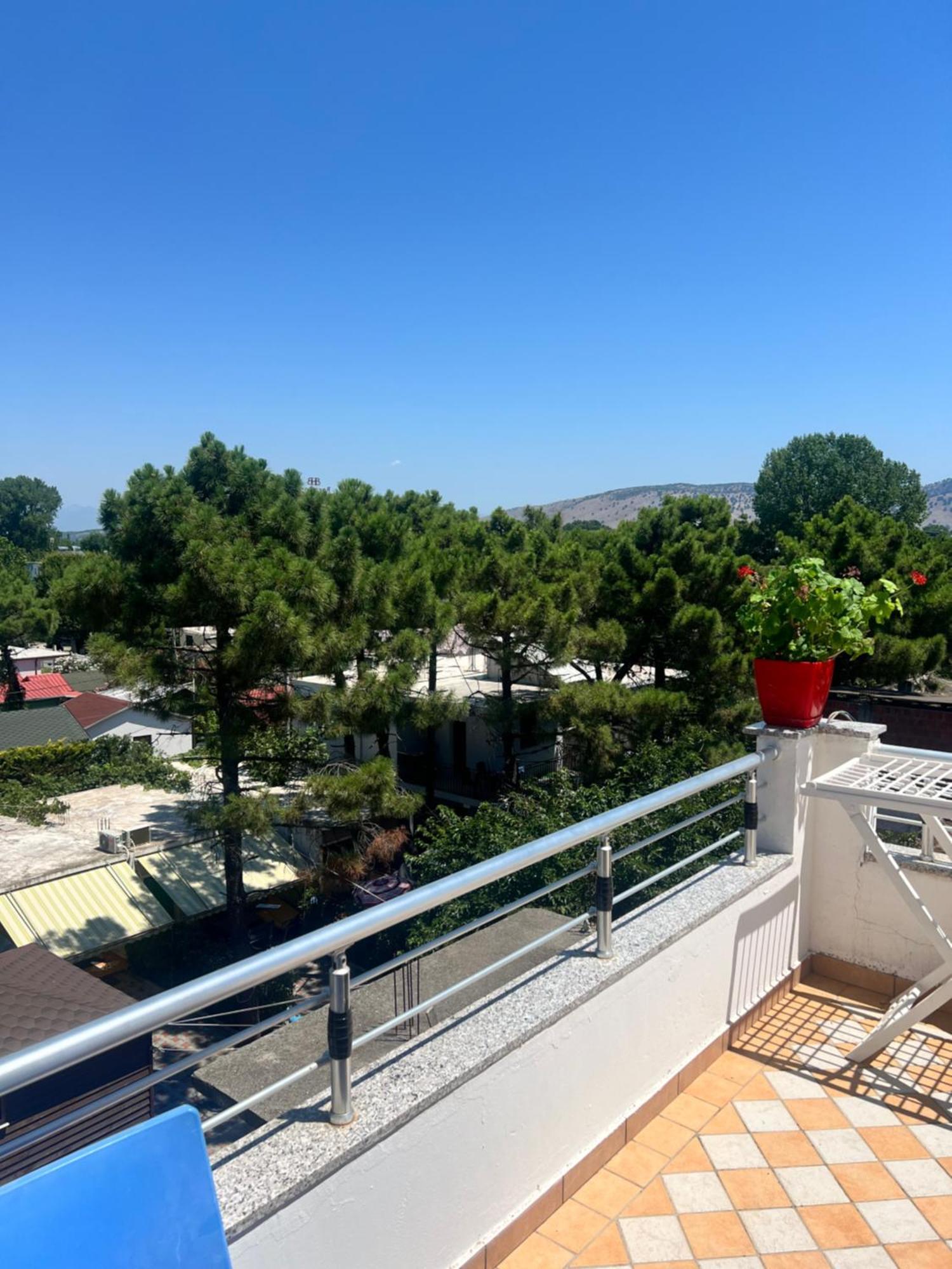 Peja Velipojë