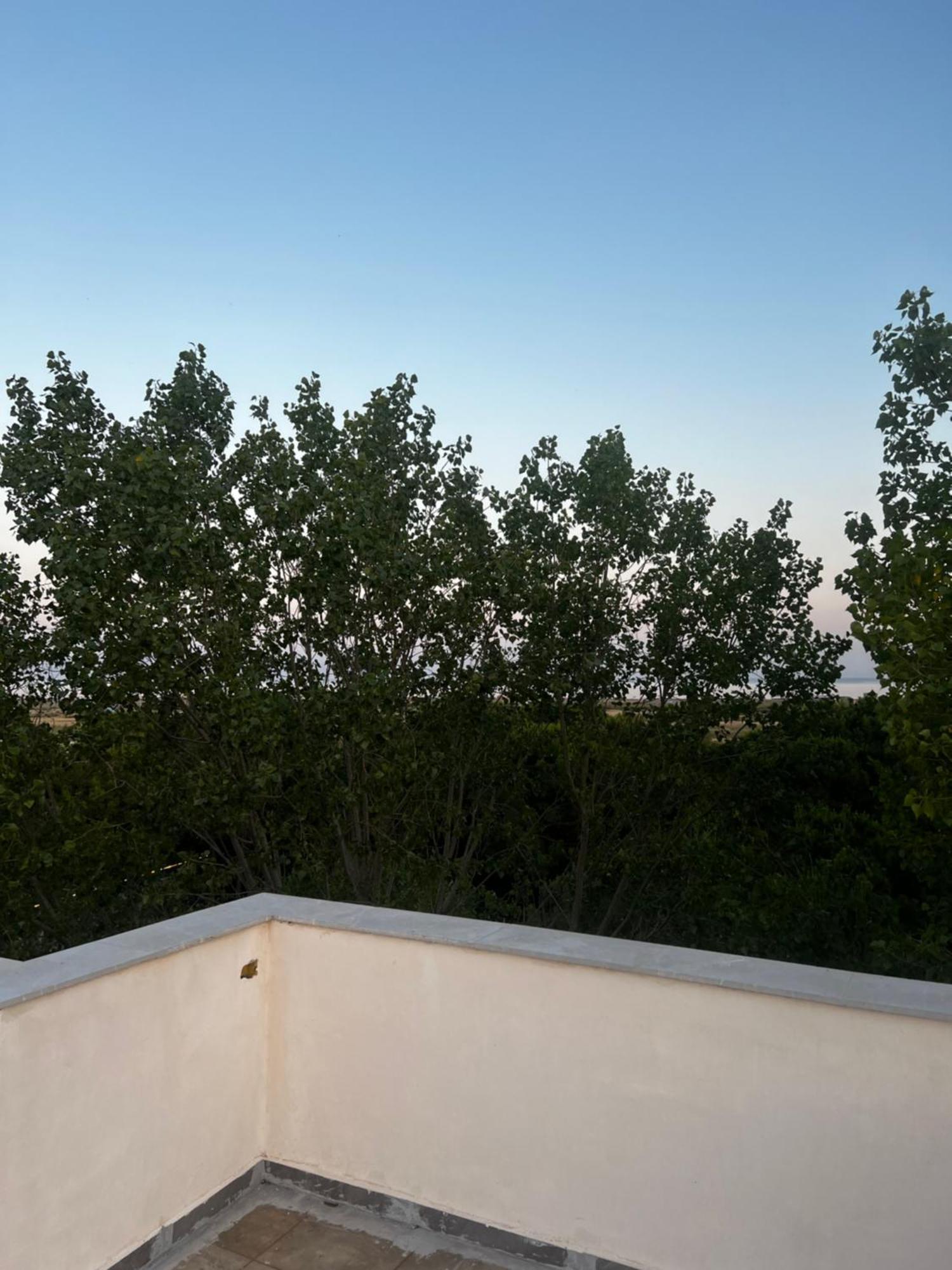 Peja