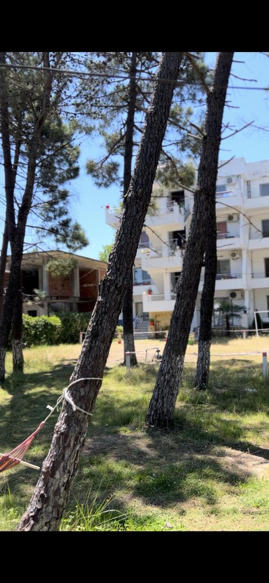 Peja Velipojë